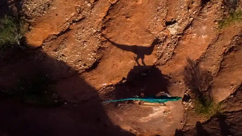 Parque de Dinosaurios de Sanagasta - 2