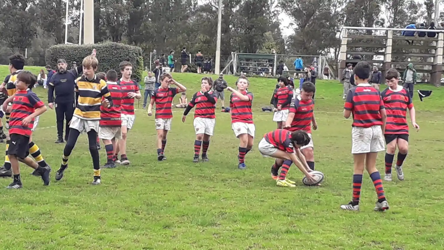 Categoría M13 Club Náutico