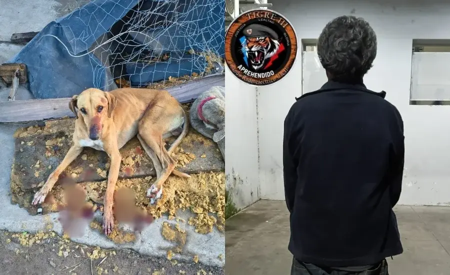 Agredió a un perro, amenazó de muerte a su hermano con un cuchillo y fue detenido en el extremo sudoeste.