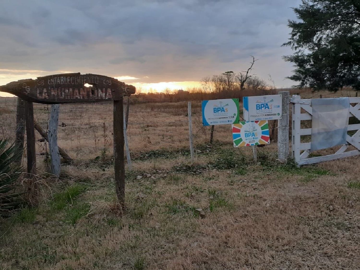 Buenas Prácticas Agropecuarias 2021: la carga inicial superó las expectativas            