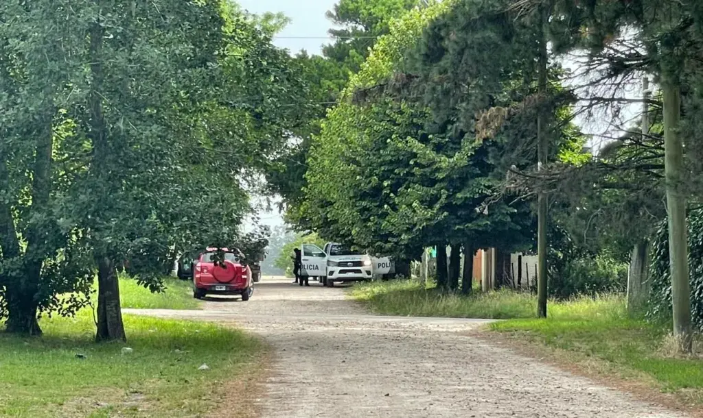Una mujer envenenó a más de diez perros y murió tras consumir el mismo producto