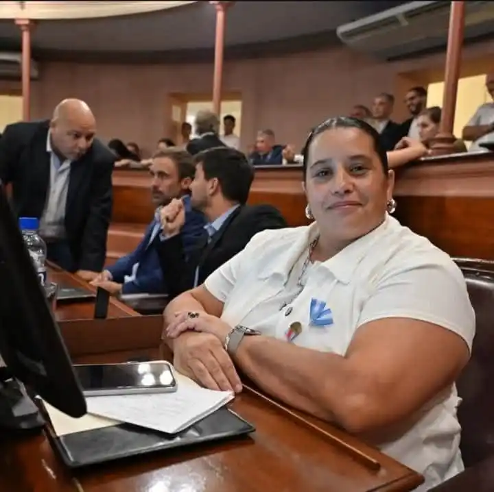 Taborda cuestionó al PJ por negarse a investigar la deuda pública: “Si no tienen nada que ocultar, no deberían temerle a una comisión”