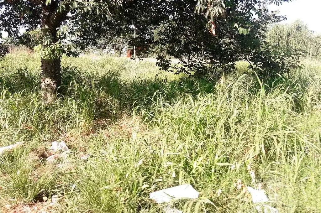 Brutal: lo mataron a hachazos y desmembraron su cadáver
