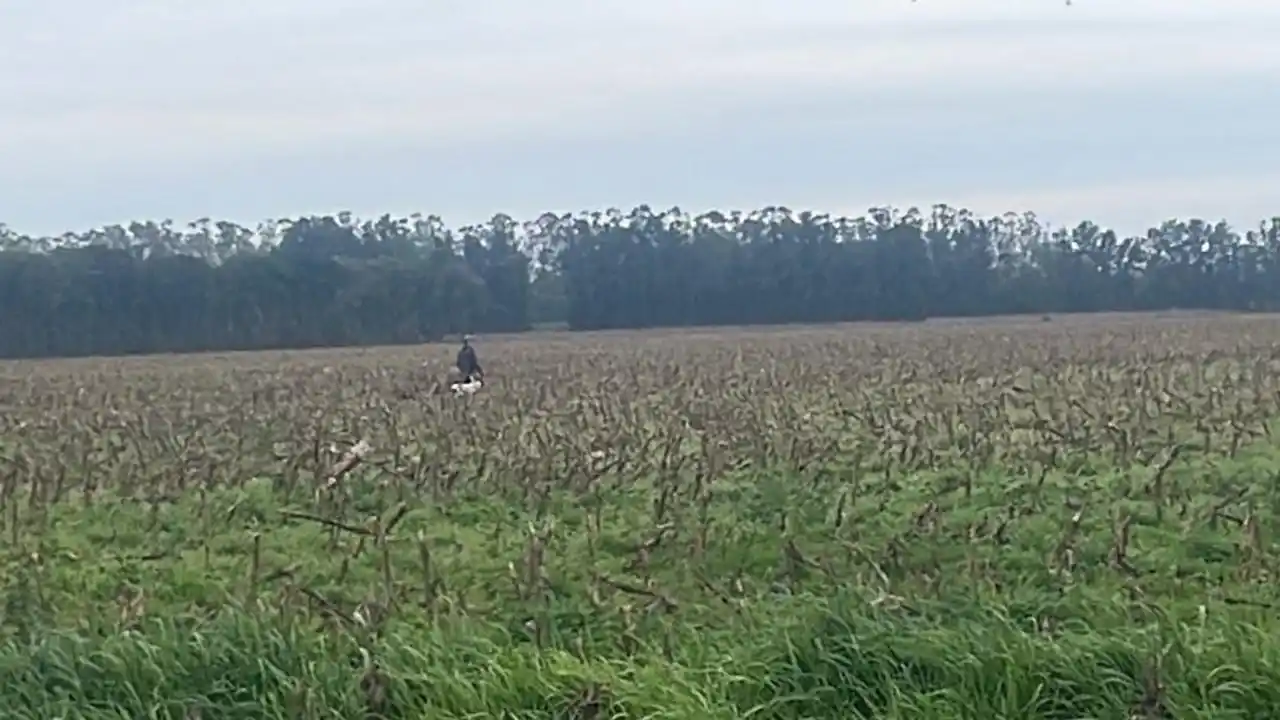 Inseguridad: que en vez de “cazar liebres” usen el playón de deportes del barrio
