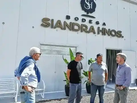 El Gobierno declaró la emergencia agropecuaria para los citricultores de La Criolla