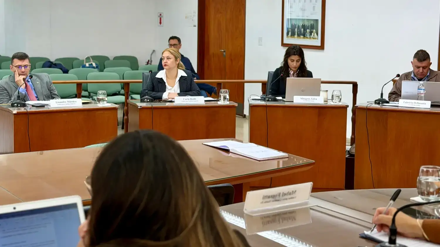 El Concejo de Rafaela avanzó con proyectos sobre arbolado, dengue y convenios urbanísticos - 1
