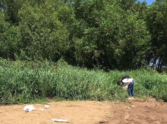 Limpieza solidaria en el Paseo Público: 6 bolsas con residuos reciclables y 3 con no recuperables