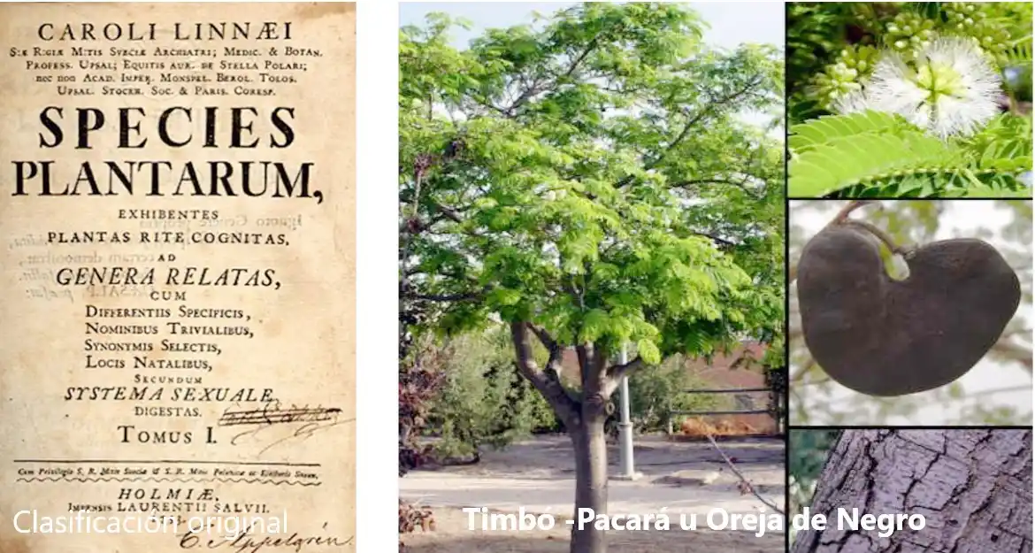 Llamar a los árboles por su nombre