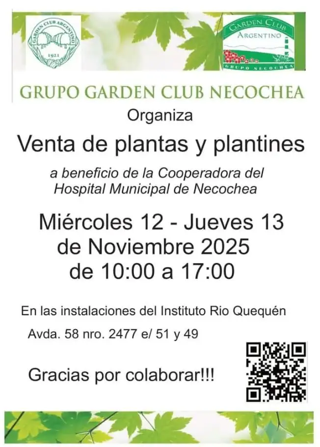 Venta de plantines