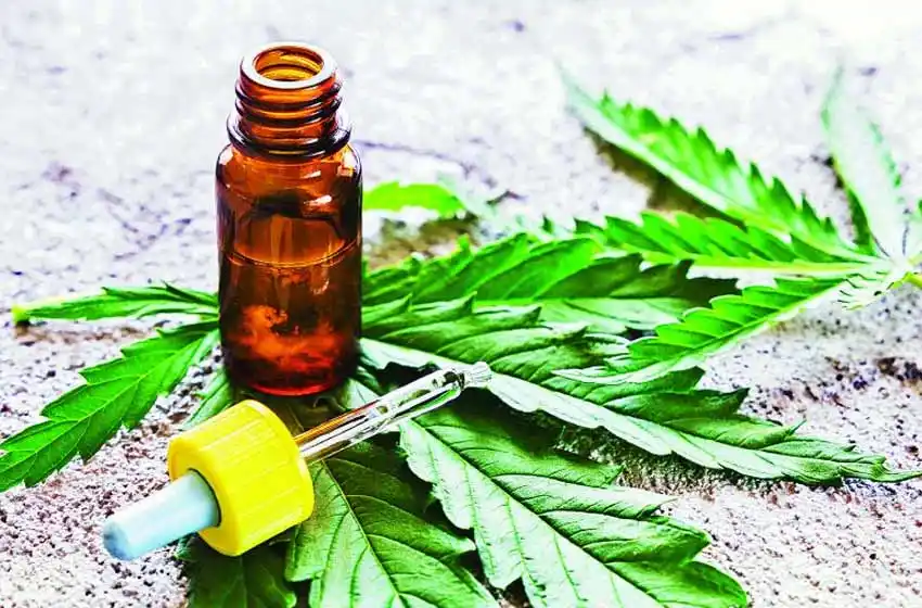 Cannabis medicinal: autocultivo y acceso gratuito, las claves de la nueva reglamentación