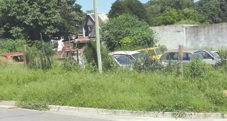 Bosques urbanos