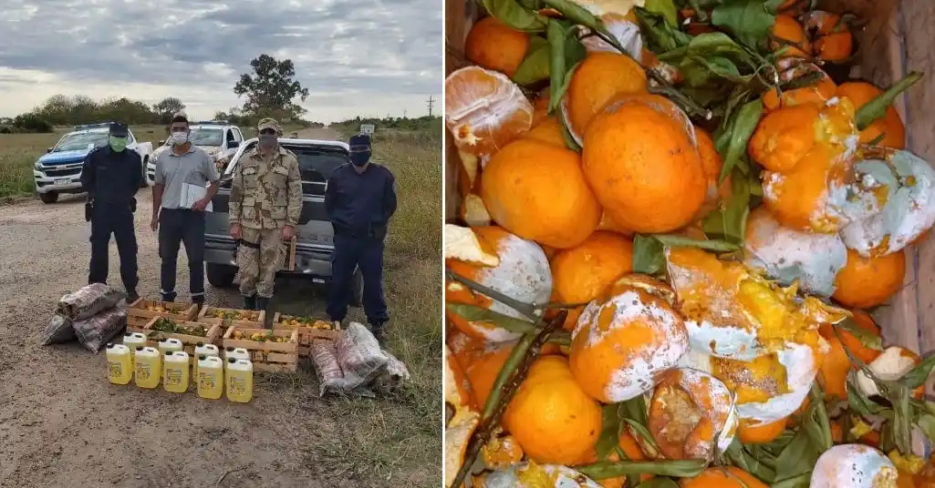 La mercadería fue incautada por no contar con la documentación exigida 