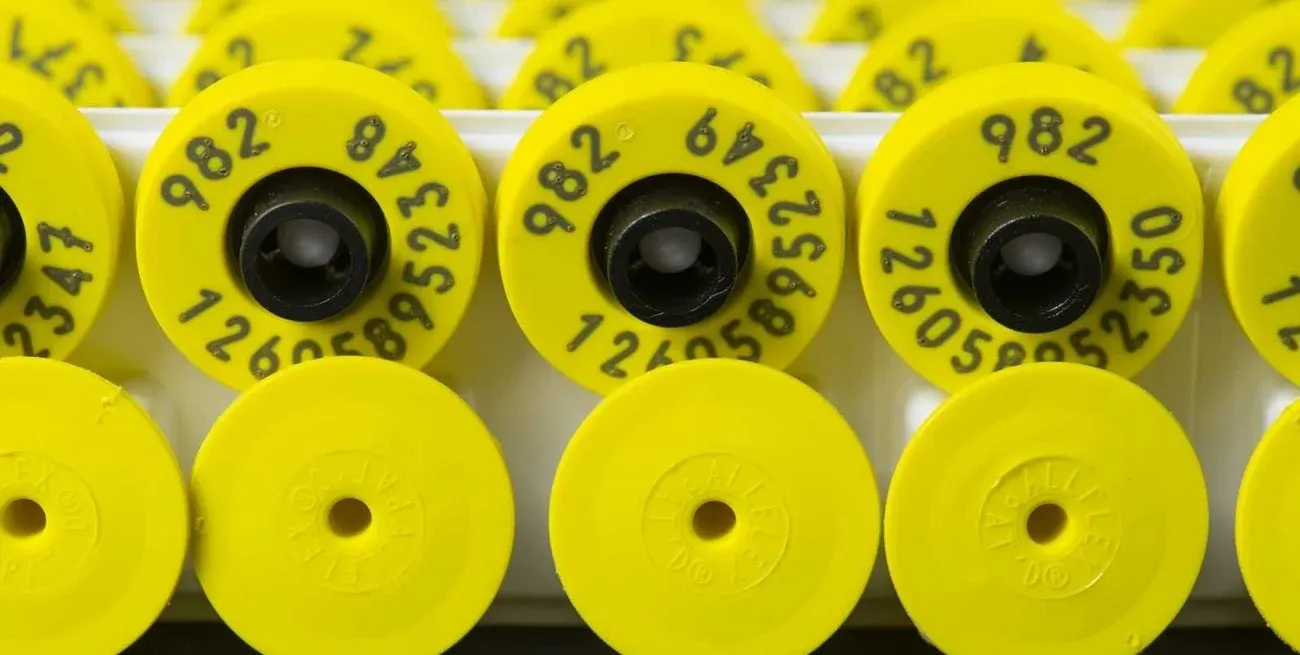 "Con la trazabilidad electrónica vamos a elevar la vara de la ganadería argentina en su conjunto”, remarcó Marchetti.