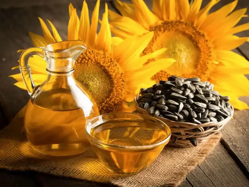 El girasol rompe récords en la campaña 2025/26