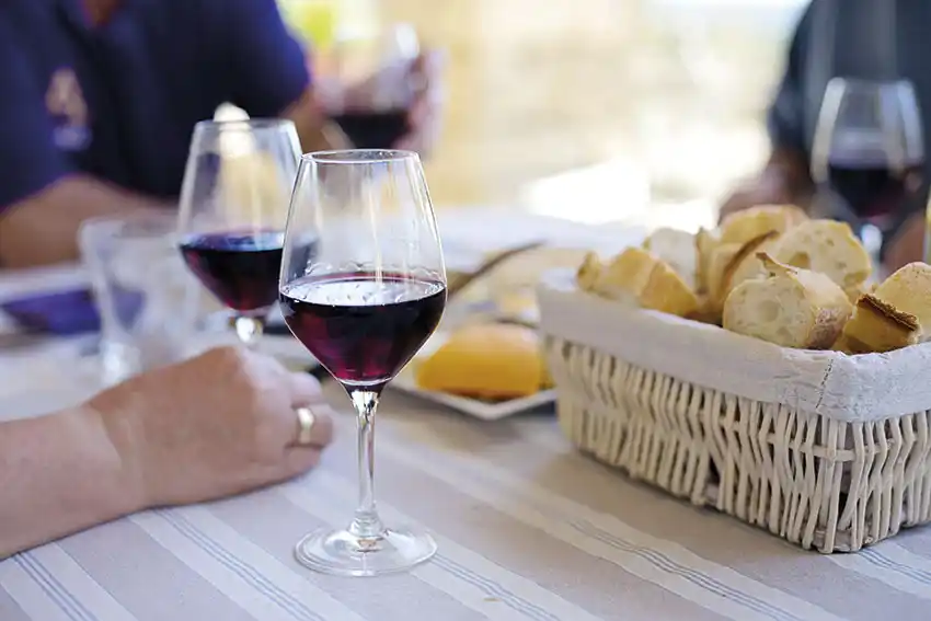 El devenir de los estilos de los vinos en Argentina