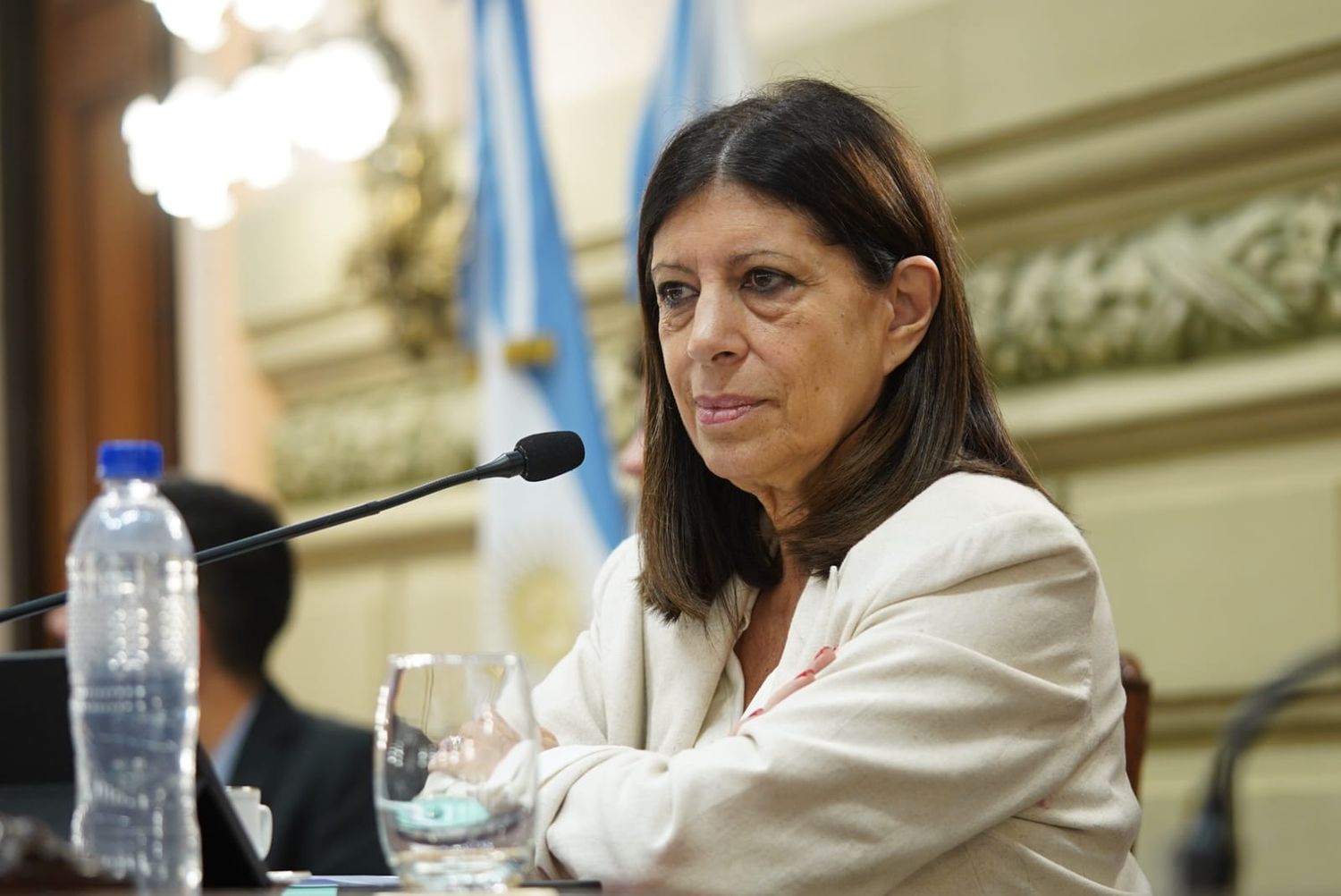 La presidenta de la Cámara baja destacó la decisión de mantener el Fondo de Electrificación Rural.