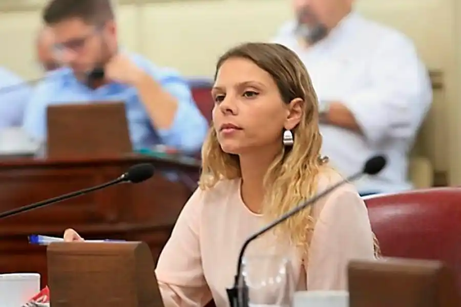 La diputada provincial Gisel Mahmud