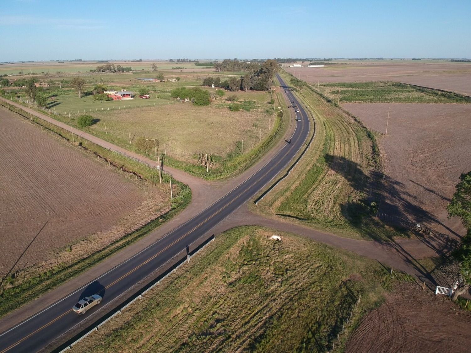 Curva de Pastorino