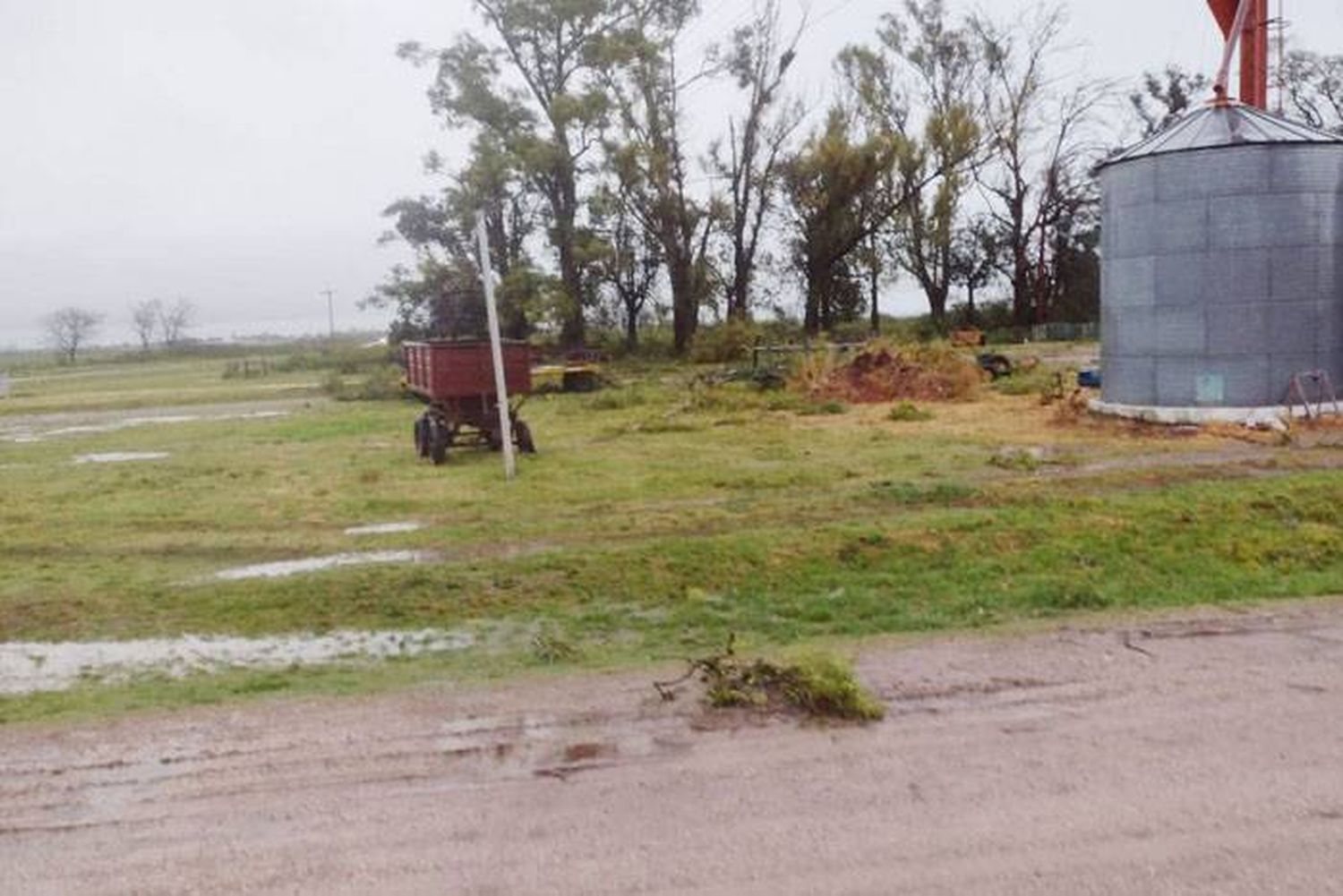 Maiceros entrerrianos celebran  porque donde cayó mansa, la lluvia colmó de humedad los suelos