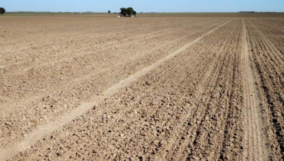 Agro: En Junín advierten sobre sequía “extrema” y dicen que el “dólar soja” es una trampa