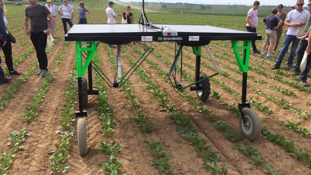 Máquina agrícola trabaja con energía solar y aplica 20% menos de herbicida