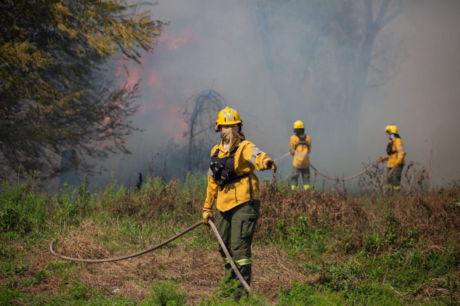 Incendio forestal: Santa Fe y Entre Ríos unen fuerzas para combatir el fuego