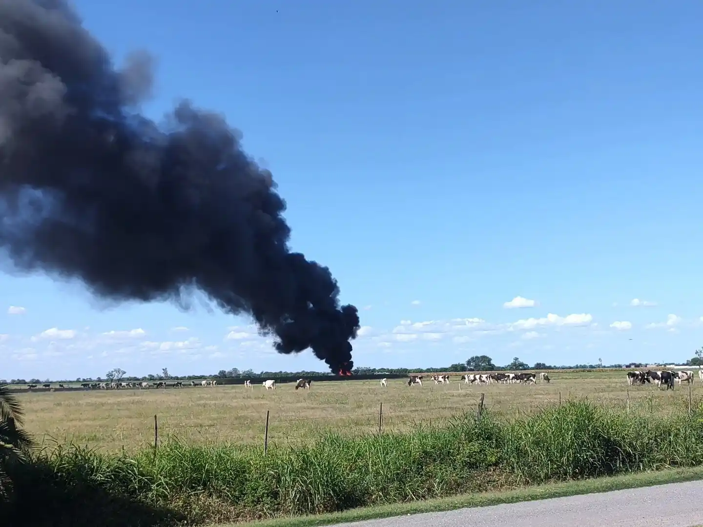 incendio maquina agrícola bella italia - 4