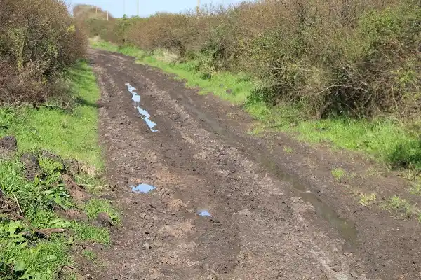 Durante el “Día del Camino”, productores y vecinos reclamaron por el estado de la red vial