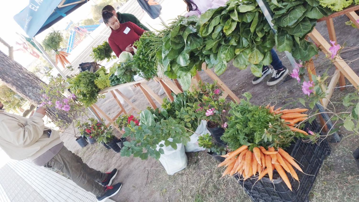 Vuelven a realizarse las ferias de emprendedores en los barrios