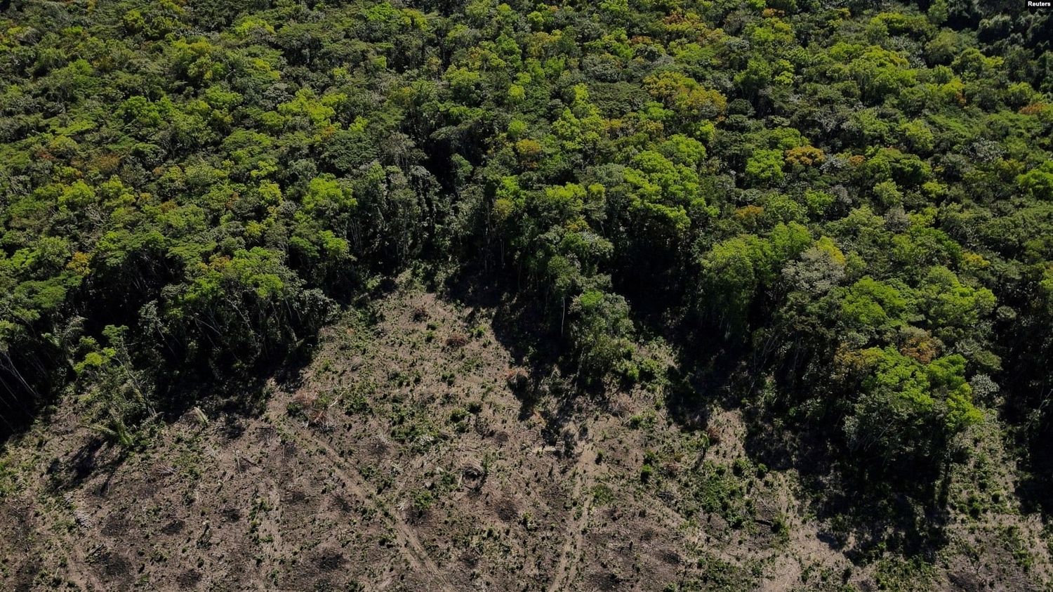 Brasil y países con selvas tropicales se unen para salvar las junglas