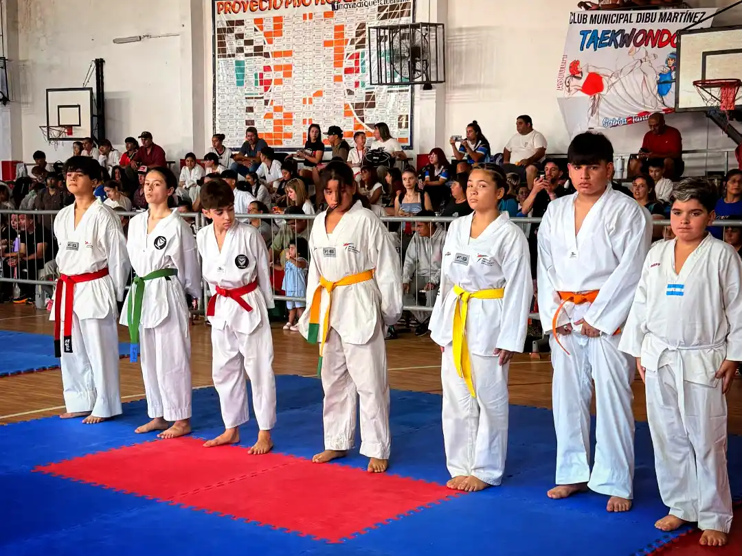 Una importante cantidad de taekwondistas participaron del torneo en Mitre. PH: agencia.