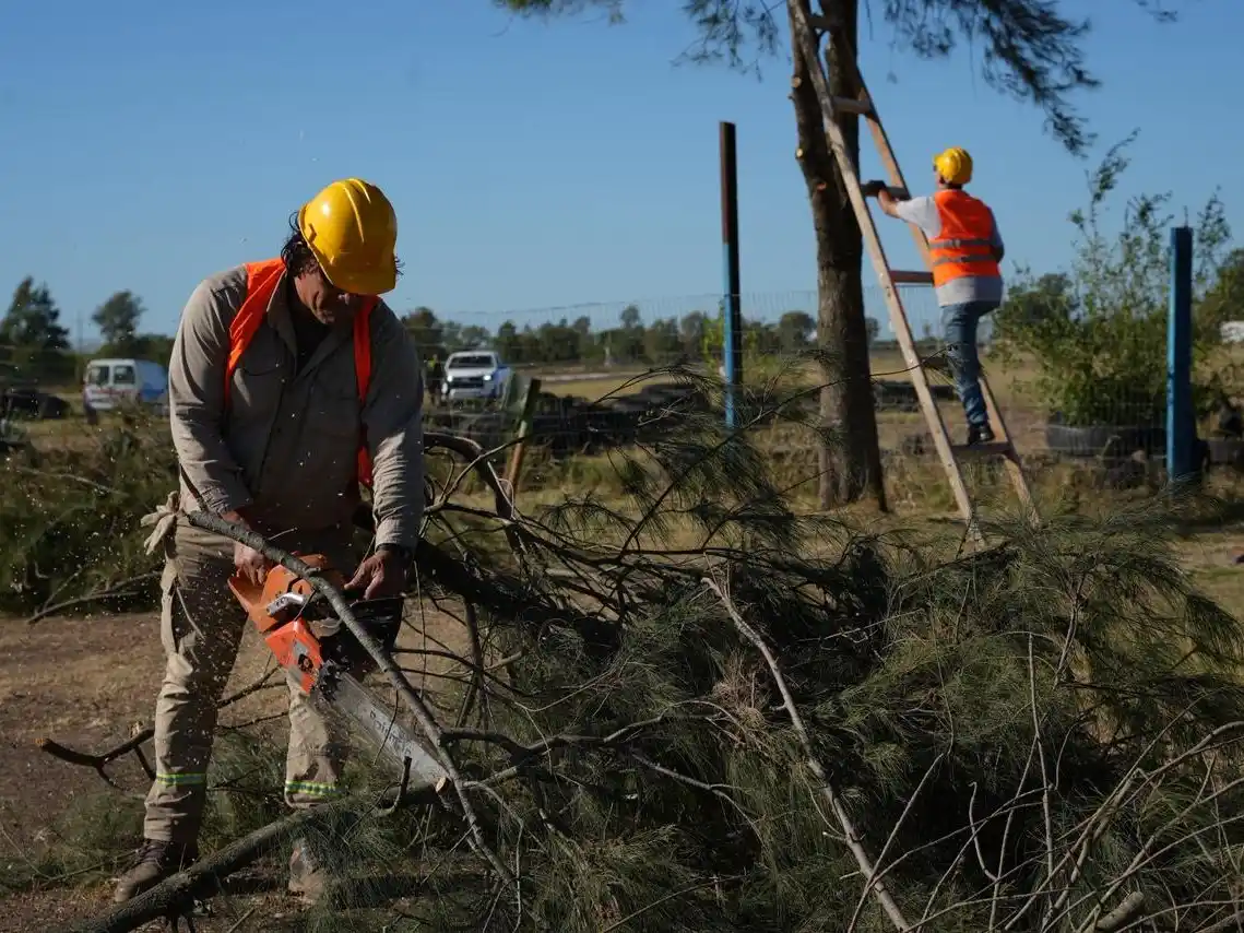 Parquizaron, podaron árboles y pusieron a punto el predio del Autódromo de Gualeguaychú