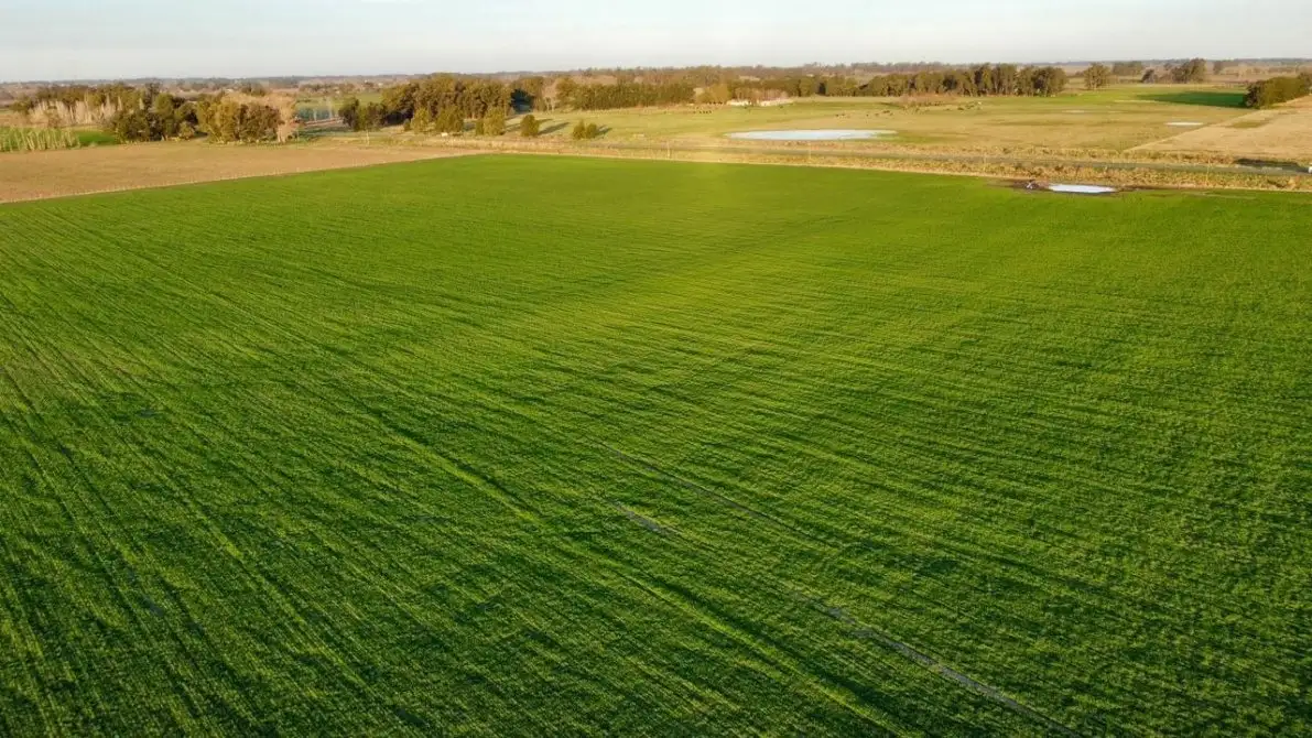 Inversión. La tierra ofrece un fuerte respaldo patrimonial