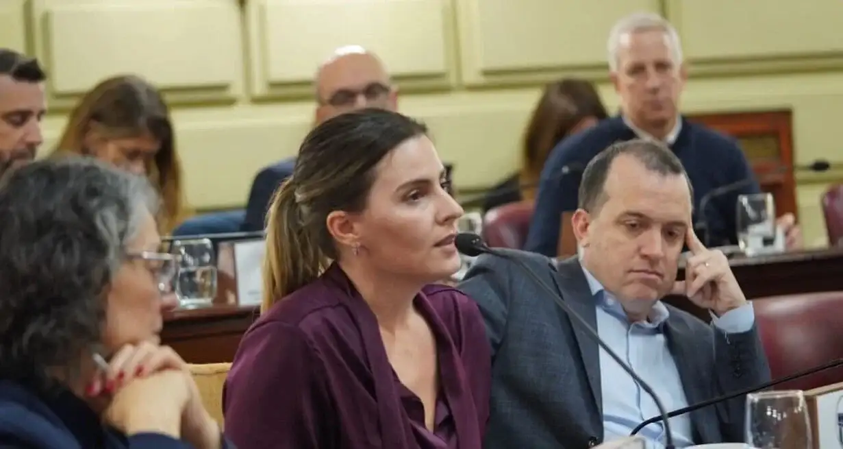 Lionella Cattalini fue la voz oficialista al presentar el Código Electoral que se votó con amplia mayoría. Foto: Cámara de Diputados