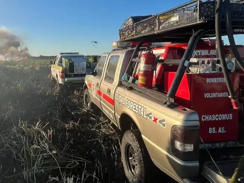 Se multiplican los incendios forestales en Chascomús en medio de una ola de calor con riesgo extremo