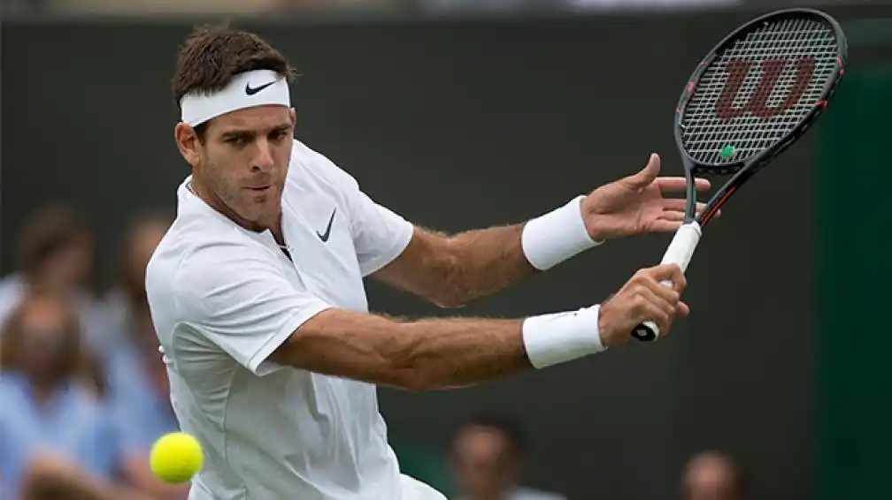 Del Potro debutó con victoria en Washington