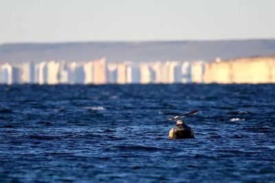 Fin de semana largo: más turistas, menos gasto y estadías más cortas