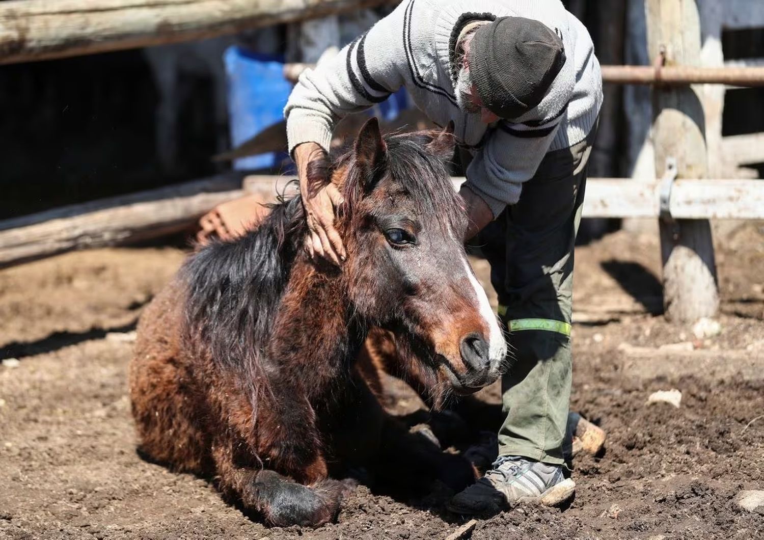 La encefalomielitis equina fue detectada en el Departamento Victoria