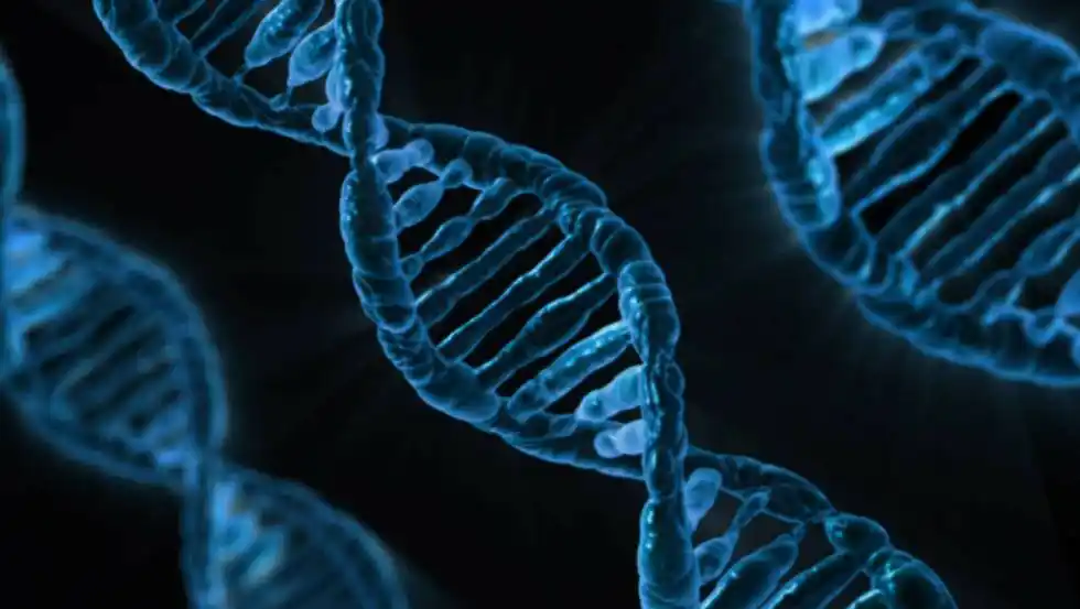 Hacia una base de datos de ADN universal