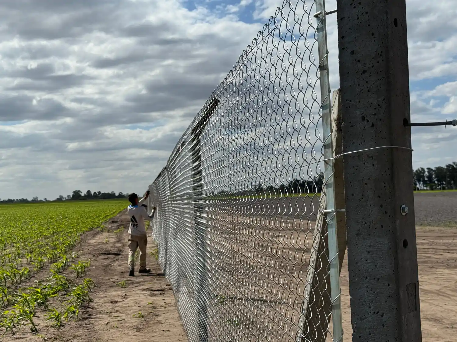 Vita aérea del espacio ubicado en el este de Venado. Foto: MVT