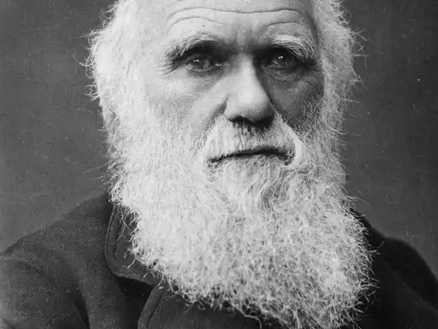 Charles Darwin, 1881.