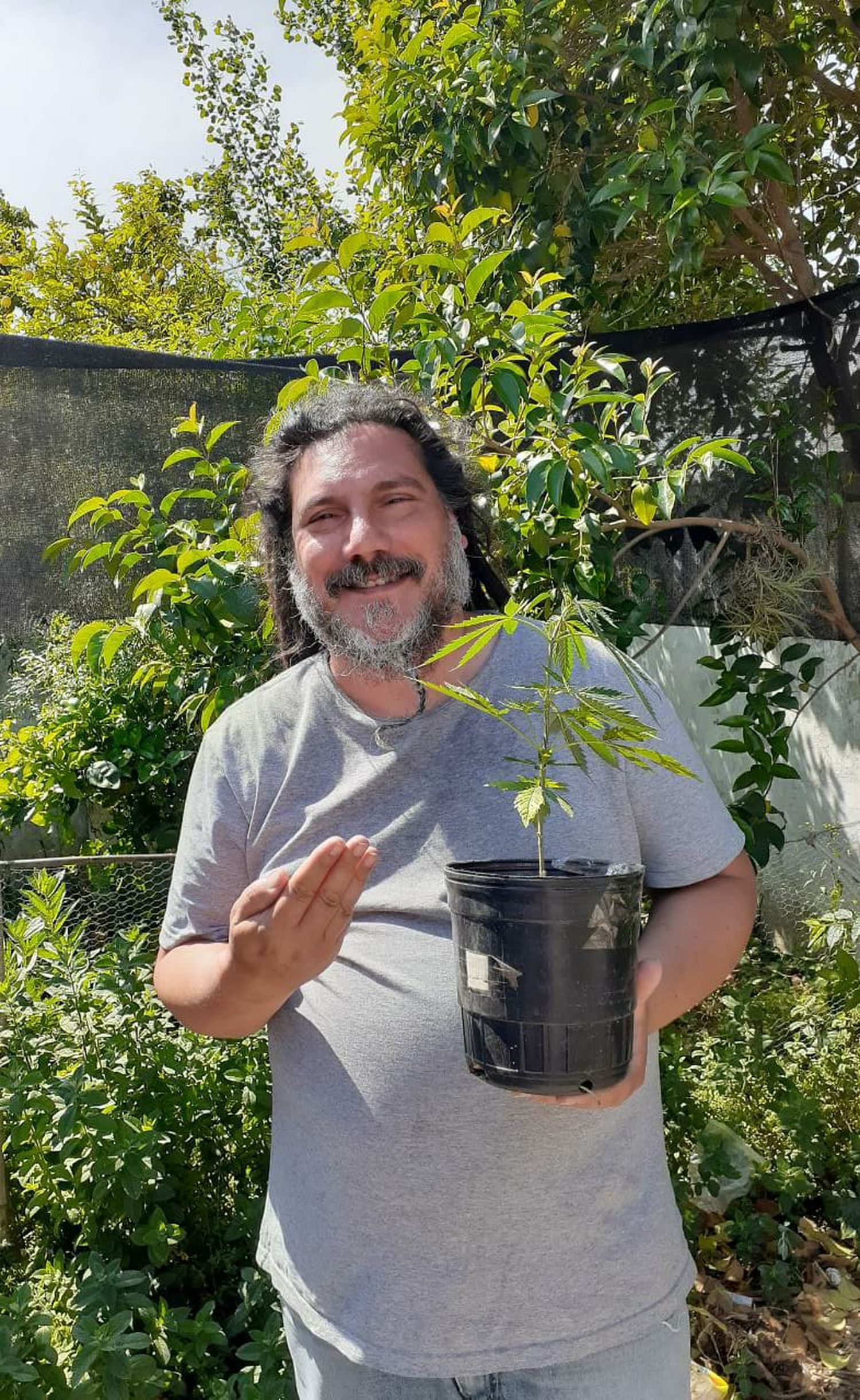 Se legalizó el autocultivo de cannabis medicinal y desde Tandil celebraron el fin de la criminalización