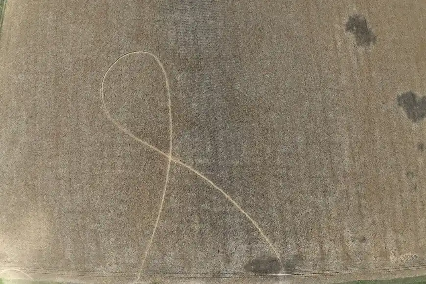 Aparecieron extrañas y sobrenaturales marcas en un campo de la región y causó enorme temor: "No estamos solos..." - 2