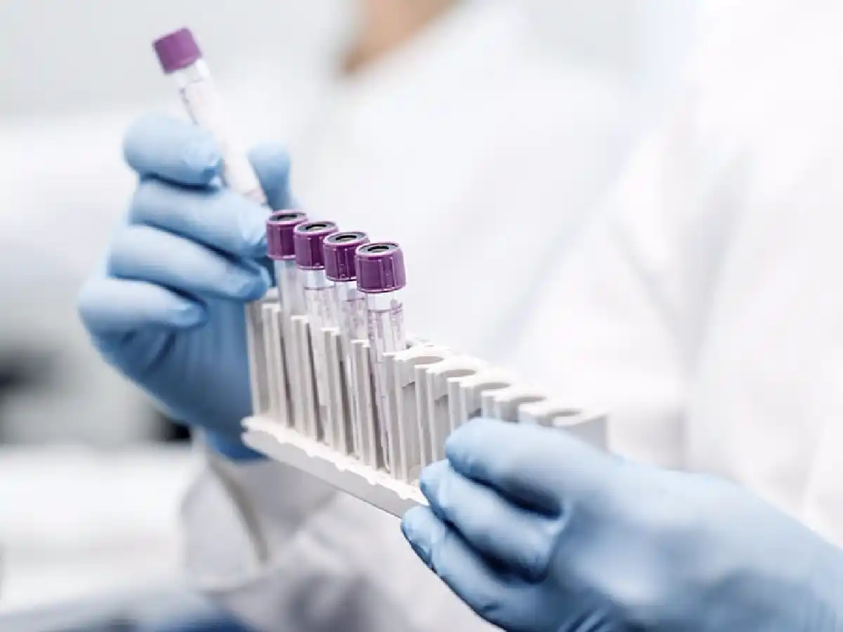 Científicas de La Plata desarrollan una sustancia que impide que el coronavirus se adhiera a superficies