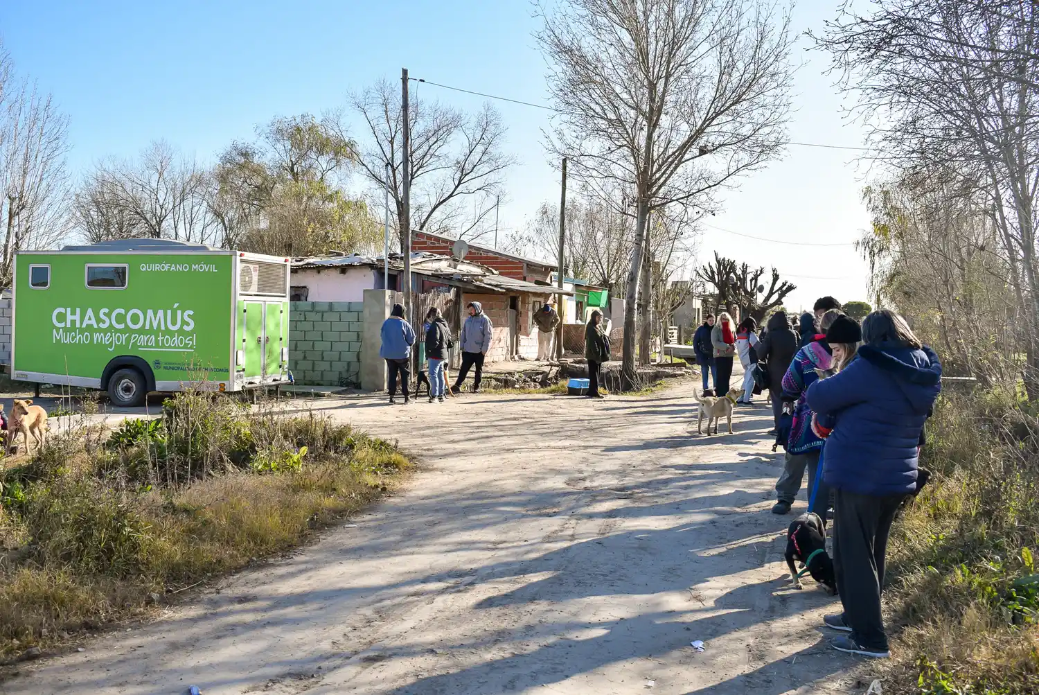 Programa municipal de castración gratuita: Comenzó la atención pre quirúrgica de mascotas en El Algarrobo
