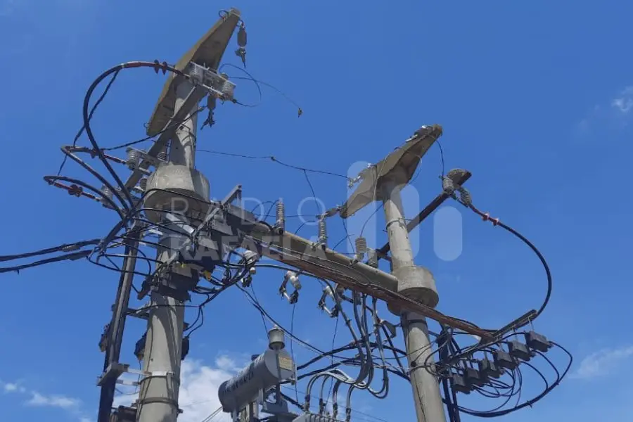 Una paloma habría dejado sin luz a dos barrios del Sur de la ciudad: ¿qué pasó?