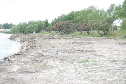El Seven de la Playa se hará en la Costanera Sur
