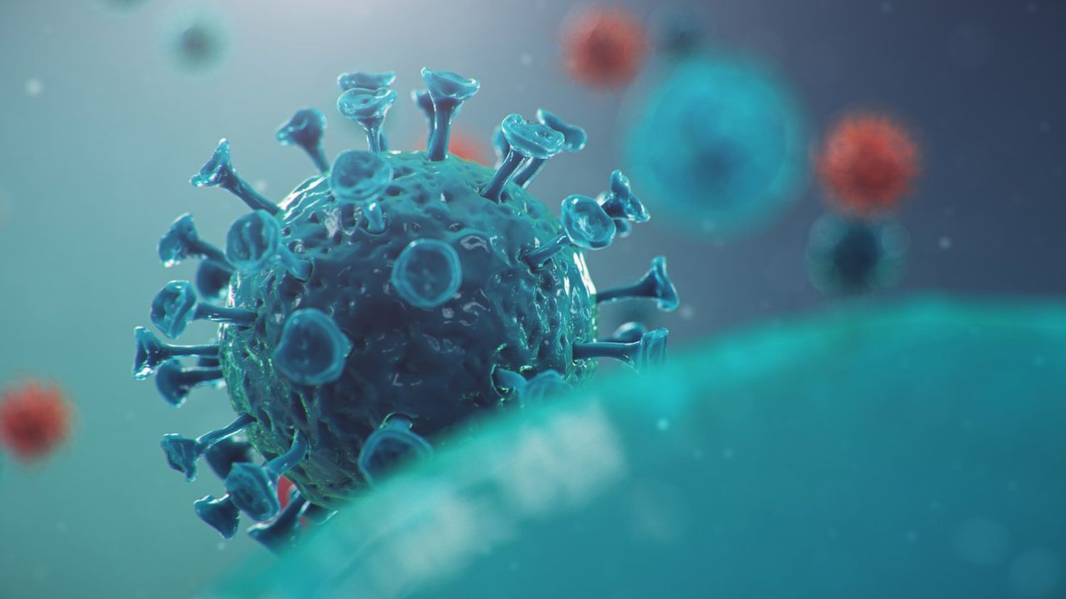#Coronavirus 01 de marzo: 4.658 nuevos casos y 112 muertes informadas en las últimas 24 horas