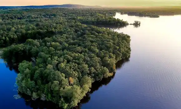 La deforestación de la Amazonía brasileña cae casi 34%  en el primer semestre del año