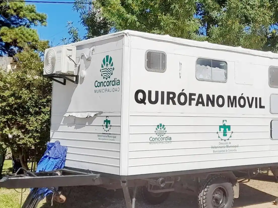 Esterilizaciones barriales gratuitas en el barrio Tavella Norte